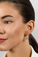 Auksuoti auskarai moterims Brilio Silver EA648Y sBS2669 kaina ir informacija | Auskarai | pigu.lt