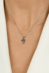 Brilio Silver Достойное серебряное ожерелье со скрипичным ключом NCL67W (цепочка, кулон) цена и информация | Украшения на шею | pigu.lt