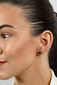 Blizgantys bronziniai auskarai moterims su cirkoniais Brilio Silver EA601RBC sBS2771 цена и информация | Auskarai | pigu.lt