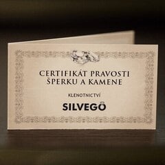 Silvego Серебряные серьги с настоящими гранатами SILVEGOB380095 sSL3503 цена и информация | Серьги | pigu.lt