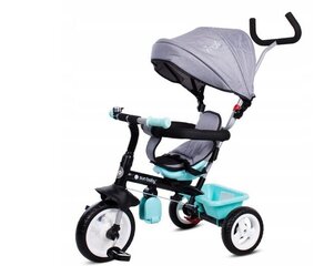 Triratis Sun Baby 2in1 Fresh 360, mėlynas/pilkas цена и информация | Трехколесные велосипеды | pigu.lt