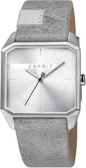 Esprit Cube Мужские серебристо-серые ES1G071L0015 цена и информация | Мужские часы | pigu.lt