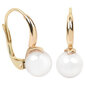 Elegantiški auksiniai auskarai su tikrais perlais Brilio sBR1032 цена и информация | Auskarai | pigu.lt