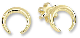 Maži minimalistiniai auskarai iš geltono aukso moterims Brilio sBR1672 kaina ir informacija | Auskarai | pigu.lt