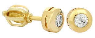 Geltono aukso auskarai moterims Brilio 236 001 00635 sBR0547 kaina ir informacija | Auskarai | pigu.lt
