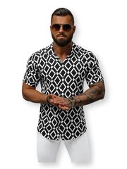 Marškiniai vyrams Arulo E/1400/227-51115, kaina ir informacija | Vyriški marškiniai | pigu.lt