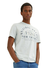 Мужская футболка Regular Fit 1035549.30869 цена и информация | Мужские футболки | pigu.lt