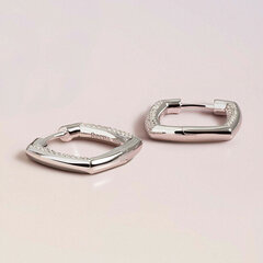 Rosato Блестящие серебряные серьги с прозрачными цирконами Bianca RZBI2 sRO1321-3 цена и информация | Серьги | pigu.lt