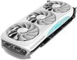 Zotac Gaming GeForce RTX 4070 Ti Trinity OC White Edition (ZT-D40710Q-10P) цена и информация | Vaizdo plokštės (GPU) | pigu.lt