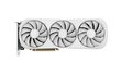 Zotac Gaming GeForce RTX 4070 Ti Trinity OC White Edition (ZT-D40710Q-10P) цена и информация | Vaizdo plokštės (GPU) | pigu.lt