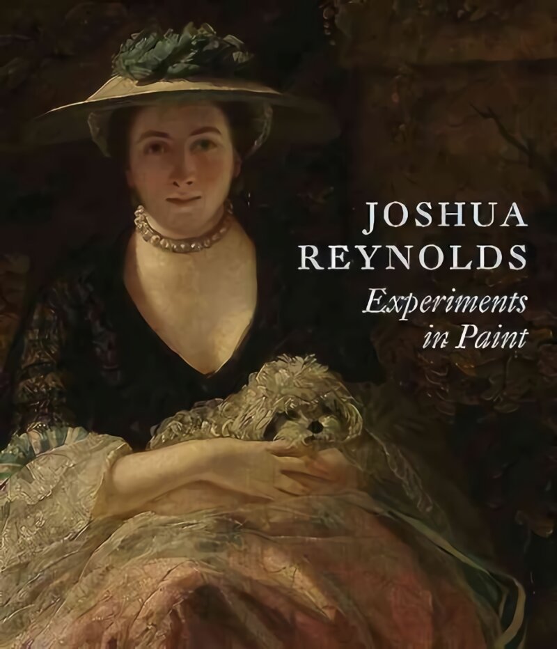 Joshua Reynolds: Experiments in Paint kaina ir informacija | Knygos apie meną | pigu.lt