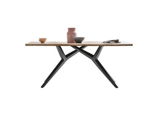 Обеденный стол Tables&amp;Co, коричневый цена и информация | Кухонные и обеденные столы | pigu.lt
