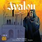 Stalo žaidimas Indie Boards & Cards Avalon Big Box, EN kaina ir informacija | Stalo žaidimai, galvosūkiai | pigu.lt