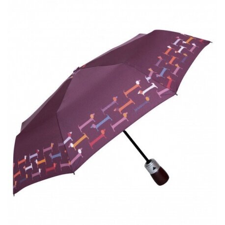 Skėtis moterims Parasol DA322-1 цена и информация | Moteriški skėčiai | pigu.lt