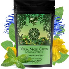 Yerba Mate Green arbata Menta Boldo, 500 g kaina ir informacija | Arbata | pigu.lt