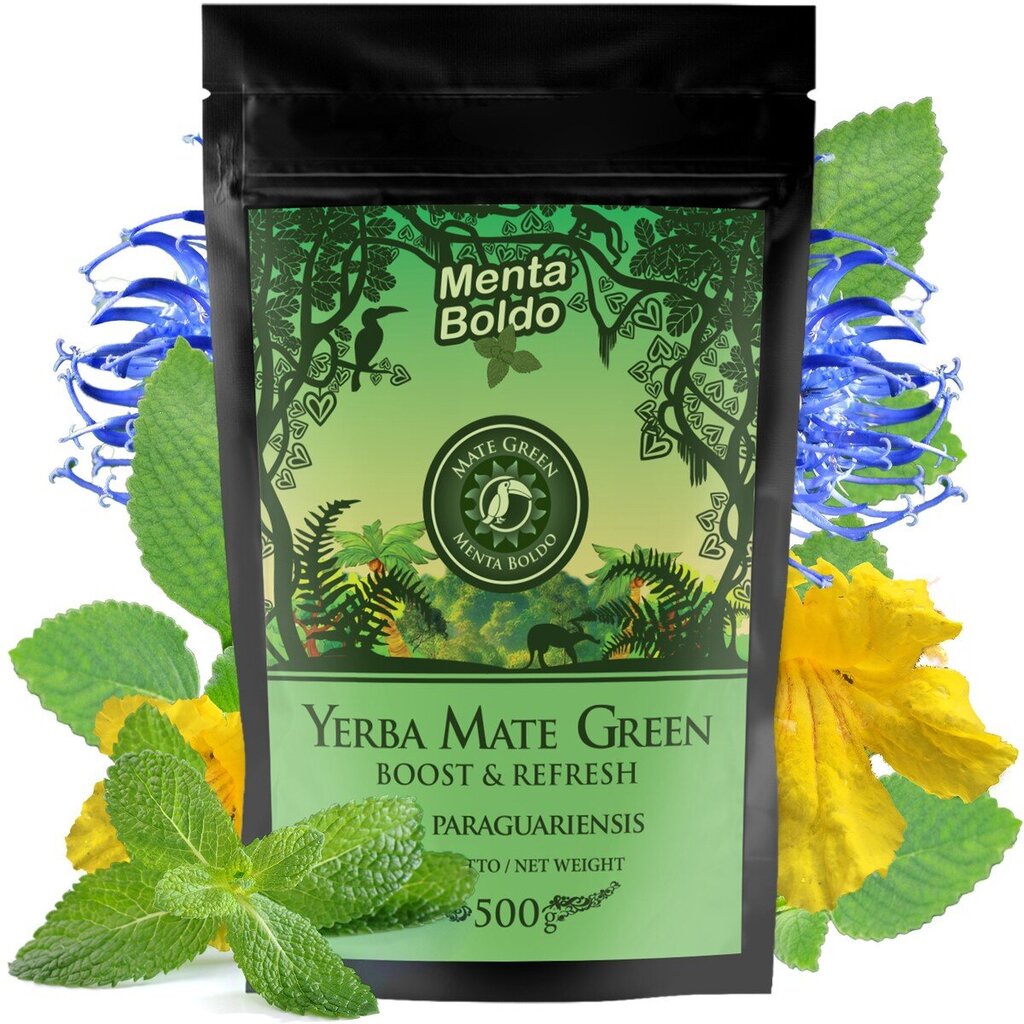 Yerba Mate Green arbata Menta Boldo, 500 g kaina ir informacija | Arbata | pigu.lt