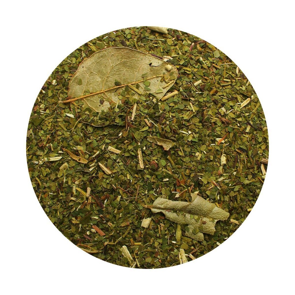 Yerba Mate Green arbata Menta Boldo, 500 g kaina ir informacija | Arbata | pigu.lt