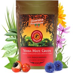 Yerba Mate Green arbata Guarana Premium, 500 g kaina ir informacija | Arbata | pigu.lt