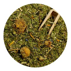 Yerba Mate Green arbata Guarana Premium, 500 g kaina ir informacija | Arbata | pigu.lt