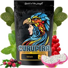 Yerba Mate arbata Curupira Titan, 500 g kaina ir informacija | Arbata | pigu.lt