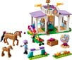 41746 LEGO® Friends Žirgo treniruotė цена и информация | Konstruktoriai ir kaladėlės | pigu.lt