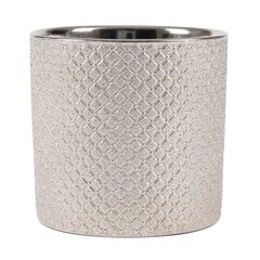 Керамический горшок GARRYA 10,5 x 8,5(B) cm, серебряный цена и информация | Вазоны | pigu.lt