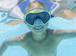 Nardymo kaukė Bestway, mėlyna kaina ir informacija | Vandens, smėlio ir paplūdimio žaislai | pigu.lt