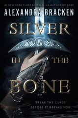 Silver in the Bone kaina ir informacija | Knygos paaugliams ir jaunimui | pigu.lt