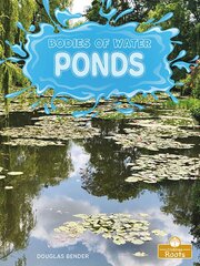 Ponds цена и информация | Книги для подростков и молодежи | pigu.lt