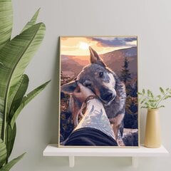 Картина по номерам На раме "Ручной волк" Oh Art! 40x50 цена и информация | Живопись по номерам | pigu.lt
