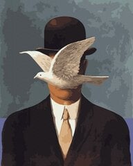 Tapyba pagal skaičius Man and Pigeon, 40x50 cm kaina ir informacija | Tapyba pagal skaičius | pigu.lt