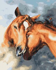 Картина по номерам 40x50 cm.  "Чувствкнность лошадей" цена и информация | Живопись по номерам | pigu.lt