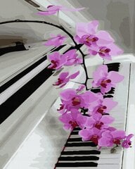 Картина по номерам 40x50 cm.  "Белое пианино" цена и информация | Живопись по номерам | pigu.lt