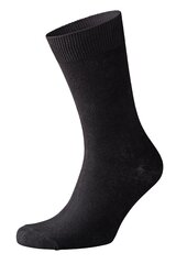 Классические мужские носки Sunny Side, 10 пар цена и информация | Мужские носки | pigu.lt
