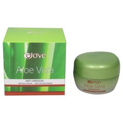 Dieninis drėkinamasis kremas Ejove Aloe Vera, 50 ml kaina ir informacija | Veido kremai | pigu.lt