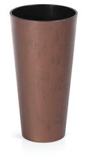 Цветочный горшок Prosperplast Tubus Slim Corten DTUS150C-7601U, ржавая сталь цена и информация | Вазоны | pigu.lt