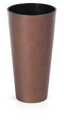 Цветочный горшок Prosperplast Tubus Slim Corten DTUS300C-7601U, ржавая сталь цена и информация | Вазоны | pigu.lt