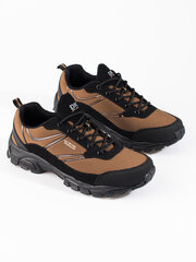 Męskie buty sportowe trekkingowe brązowe DK 81330-29 цена и информация | Кроссовки для мужчин | pigu.lt