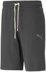 Шорты мужские Puma Ess Better Shorts 10" Tr 673295 75/L, серые цена и информация | Мужские шорты | pigu.lt