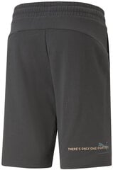 Шорты мужские Puma Ess Better Shorts 10" Tr 673295 75/L, серые цена и информация | Мужские шорты | pigu.lt