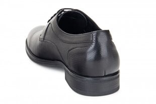 Мужские ботинки FERMANI 147099045751 цена и информация | Мужские ботинки | pigu.lt
