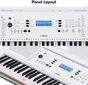 Yamaha EZ-300 kaina ir informacija | Klavišiniai muzikos instrumentai | pigu.lt