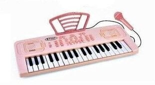 Žaislinis pianinas su mikrofonu MalPlay цена и информация | Развивающие игрушки | pigu.lt