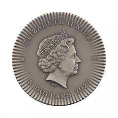 Sidabrinė moneta Izidės sparnai 2022 kaina ir informacija | Numizmatika | pigu.lt