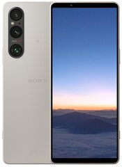 Sony Xperia 1 V 12/256GB PLATINUM SILVER XQDQ54C0S.EUK цена и информация | Мобильные телефоны | pigu.lt