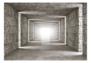 Фотообои с инструментом и клеем - 3d каменный туннель, 350x256 см цена и информация | Фотообои | pigu.lt