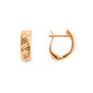 Auksiniai auskarai moterims Diki ZAU0132 kaina ir informacija | Auskarai | pigu.lt