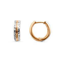 Auksiniai auskarai moterims Diki ZAU0139 kaina ir informacija | Auskarai | pigu.lt