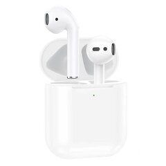 Wireless earphones TWS 1:1 (Single Type) Foneng BL08L (white) цена и информация | Наушники | pigu.lt