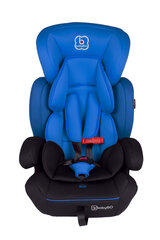 Automobilinė kėdute BabyGo - Protect, Blue kaina ir informacija | Autokėdutės | pigu.lt